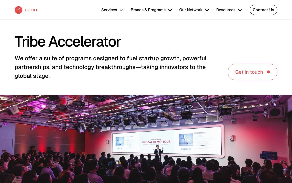 Tribe Accelerator website preview