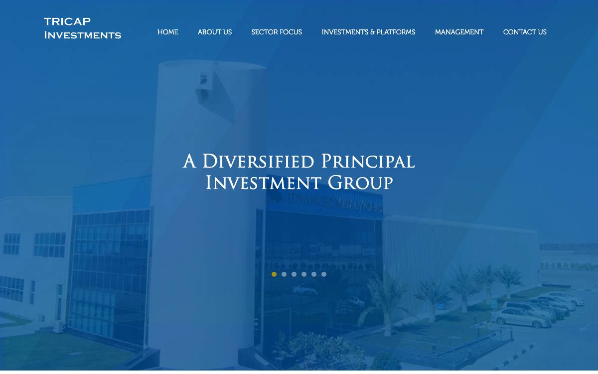 Tricap Investments website preview