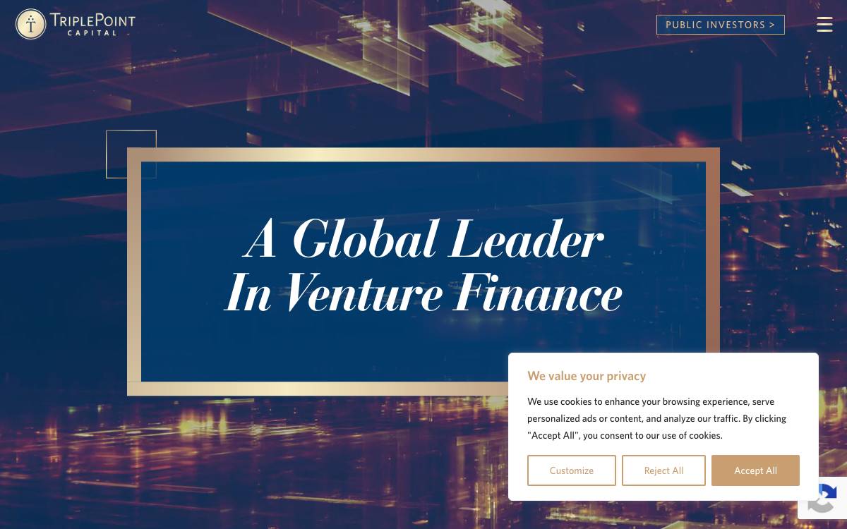 TriplePoint Capital website preview