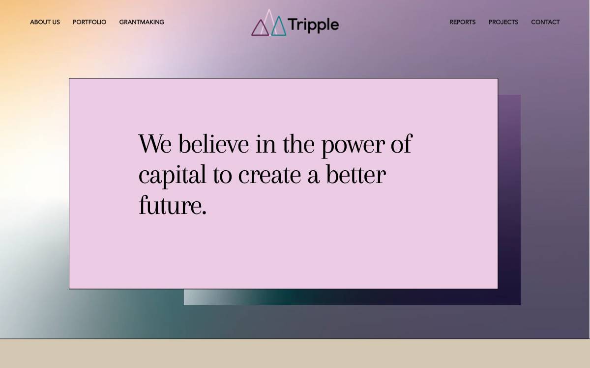 Tripple website preview