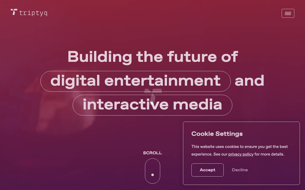Triptyq Capital website preview