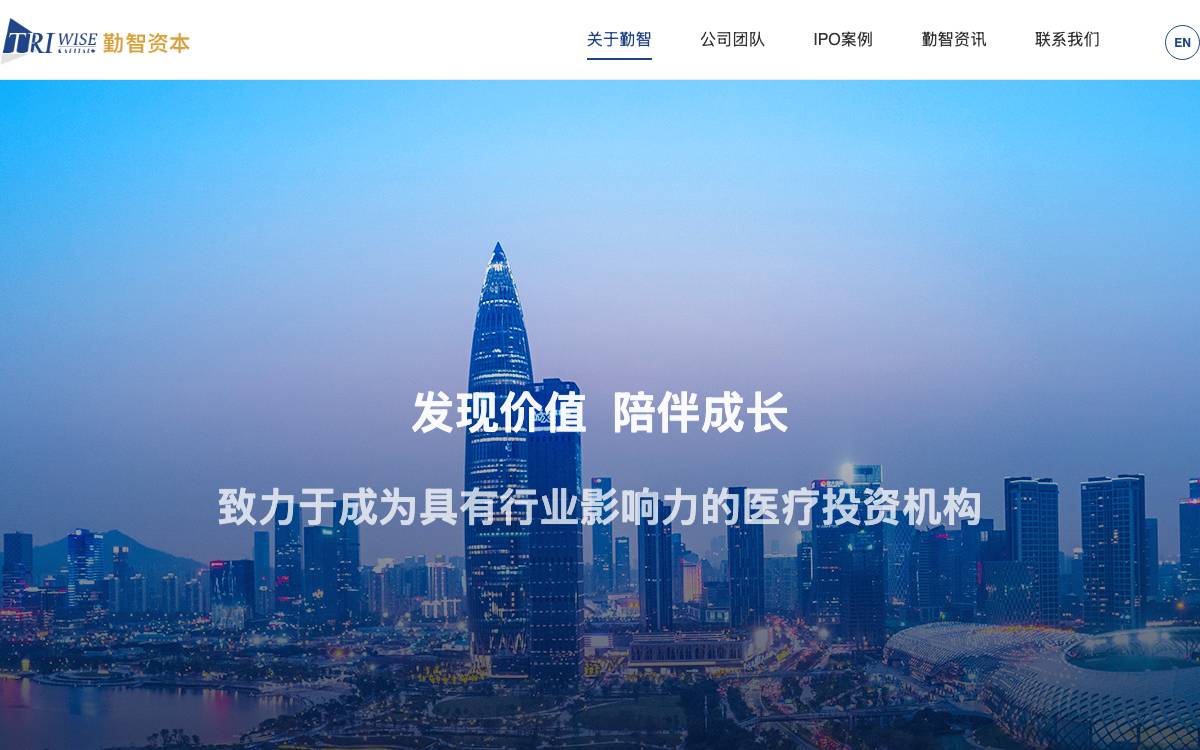 TriWise Capital website preview