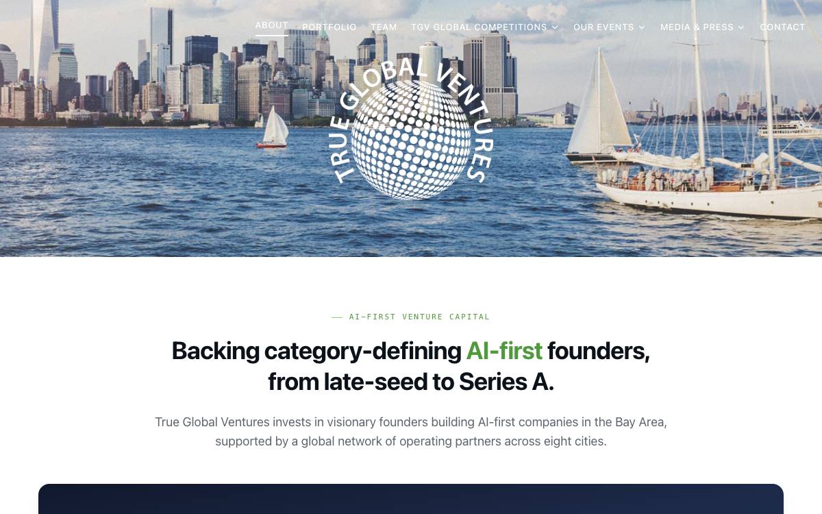 True Global Ventures website preview