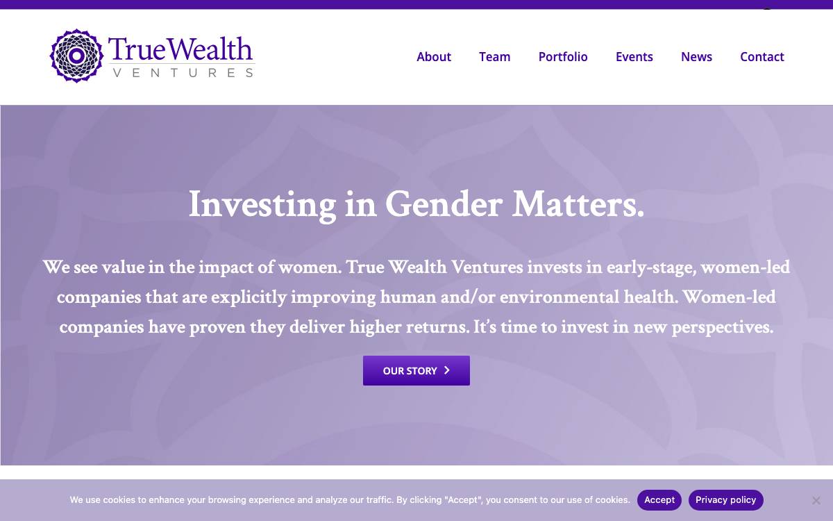 True Wealth Ventures website preview