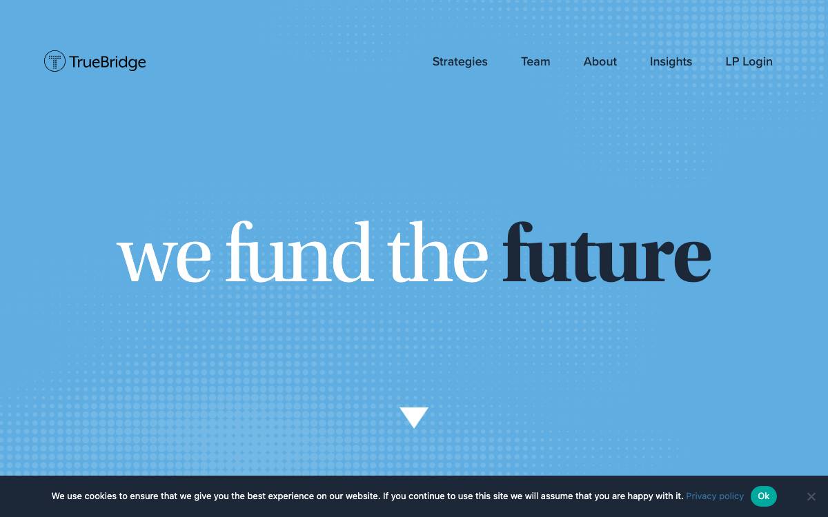 TrueBridge Capital Partners website preview
