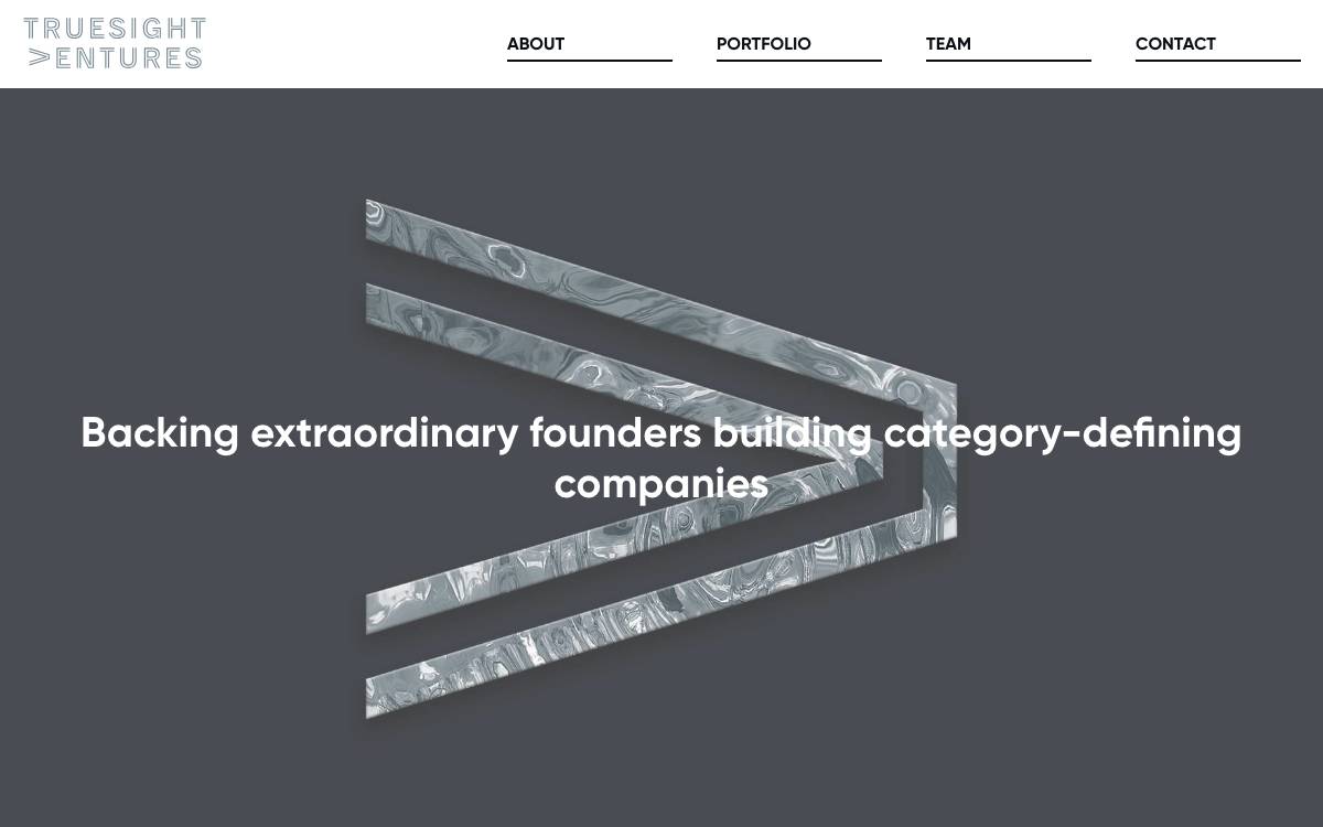 TrueSight Ventures website preview