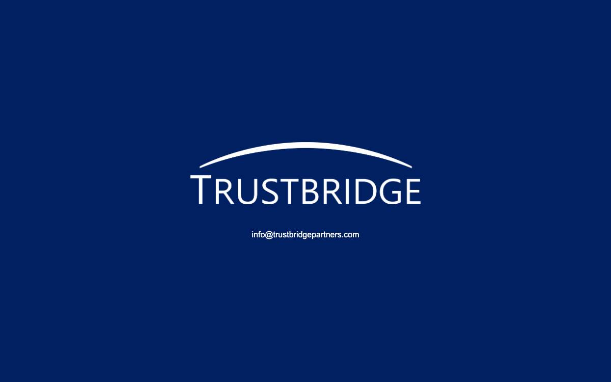 Trustbridge Partners website preview
