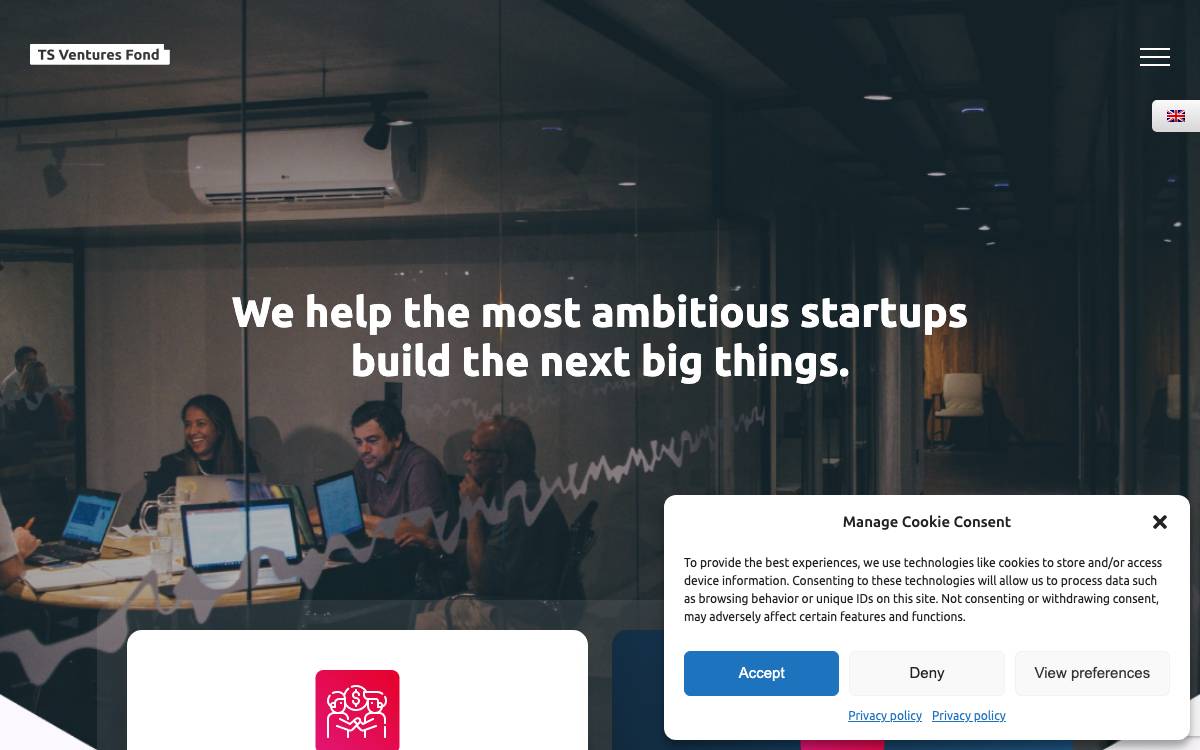 TS Ventures website preview