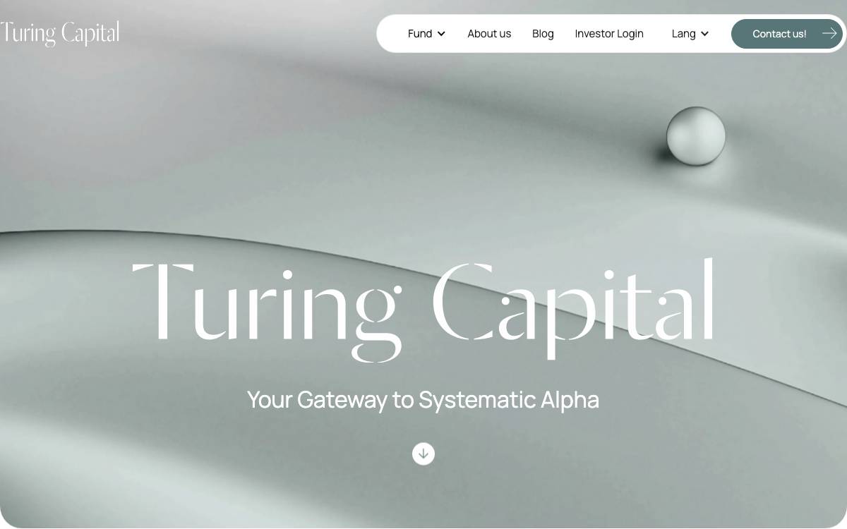Turing Capital website preview