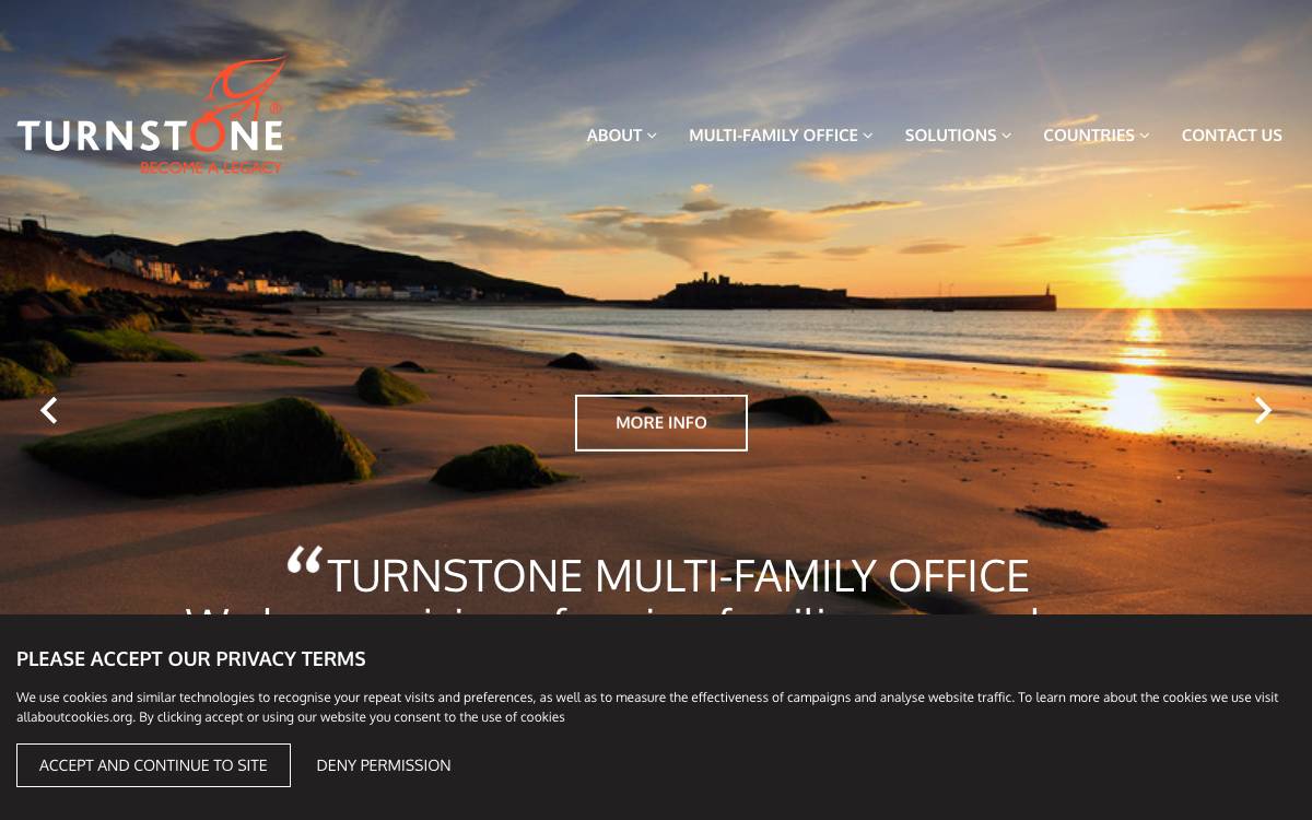 Turnstone website preview