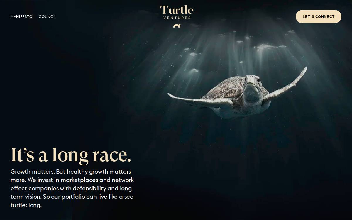 Turtle Ventures website preview