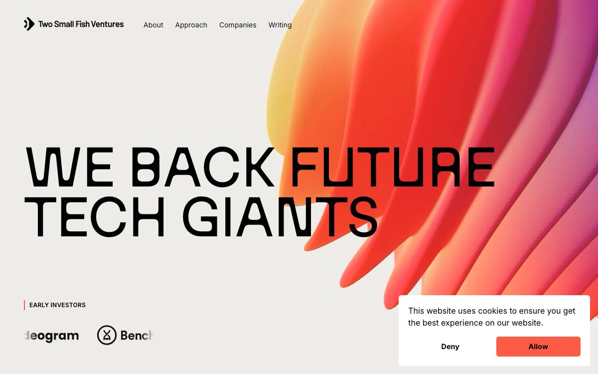 Two Small Fish Ventures website preview
