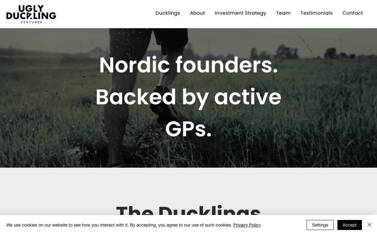 Ugly Duckling Ventures website preview