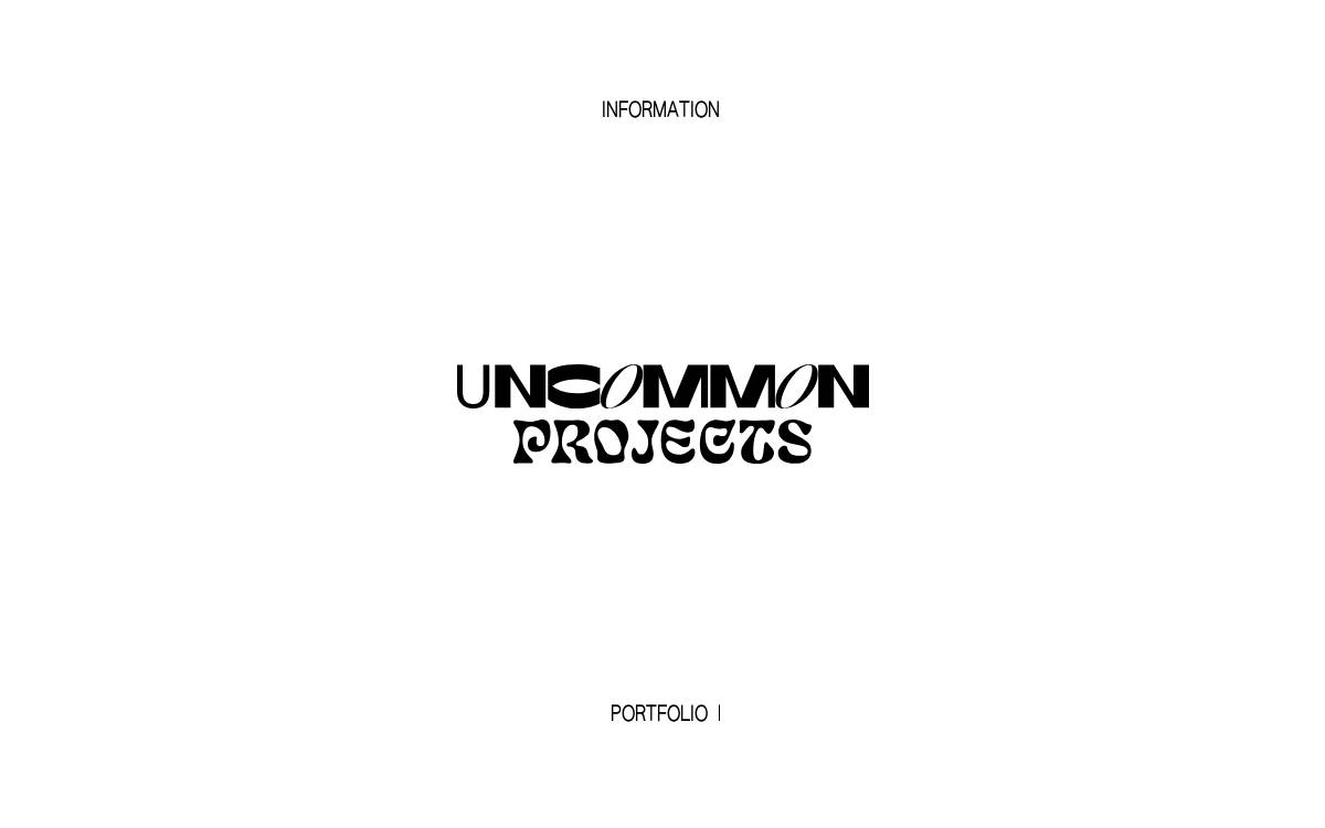 Uncommon Projects Capital Management website preview