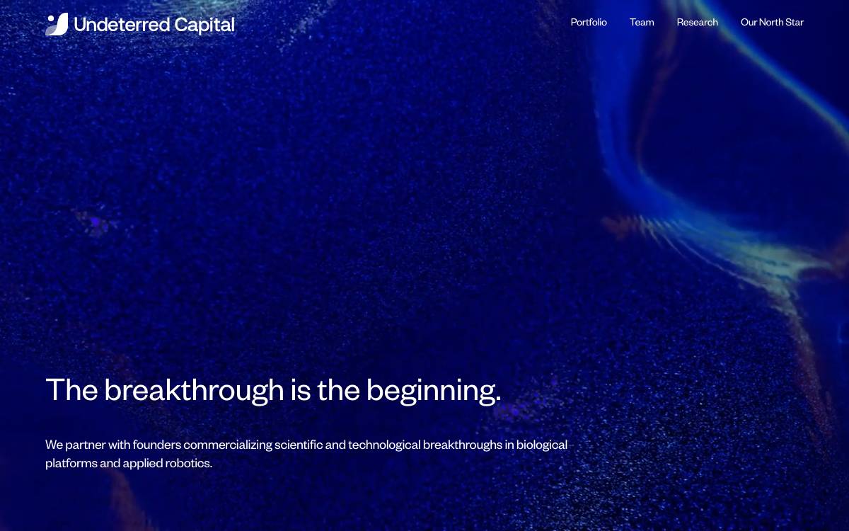 Undeterred Capital website preview