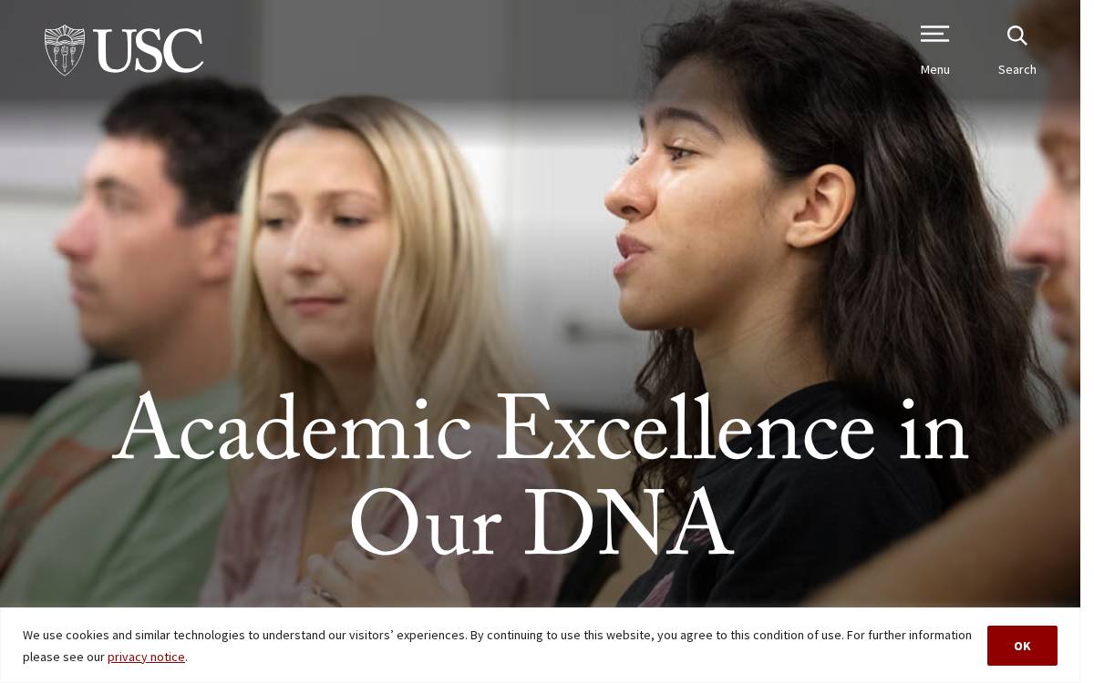 University of Southern California website preview
