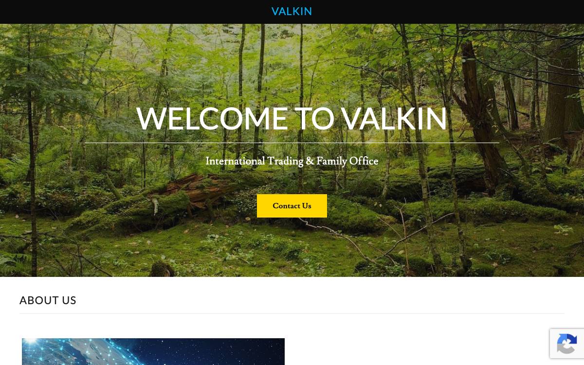 Valkin Trading website preview