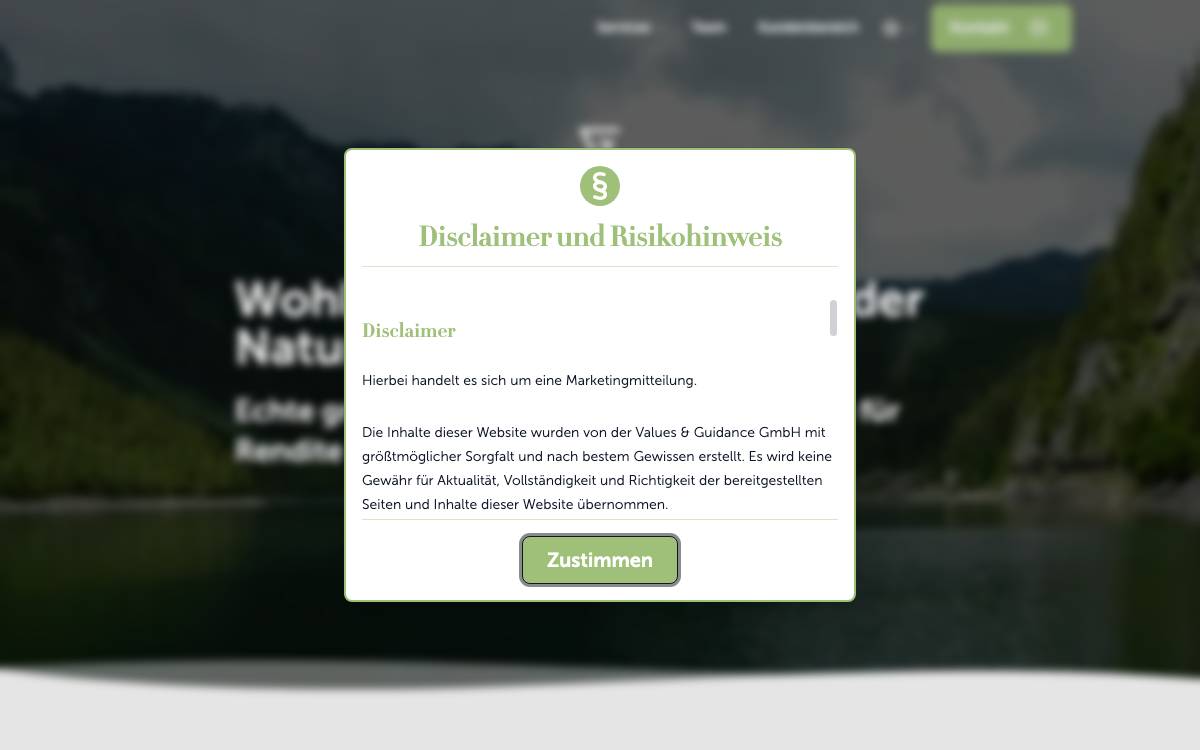 Values & Guidance website preview