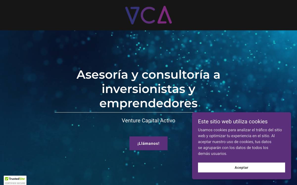 VCAngeles website preview