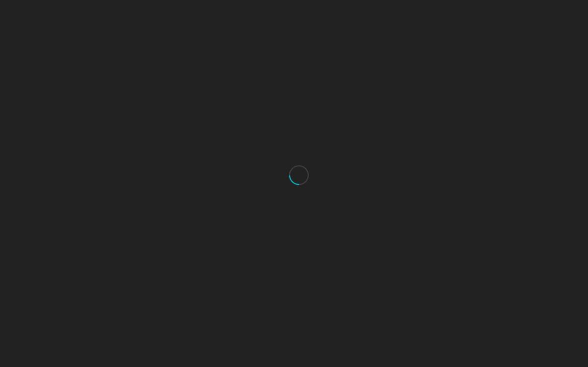 VDOSH website preview