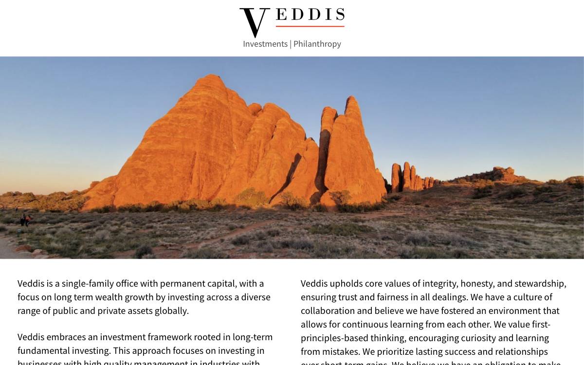 Veddis website preview