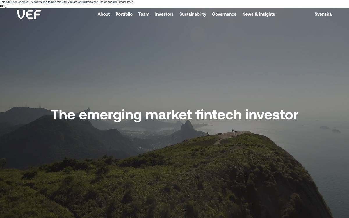 VEF website preview