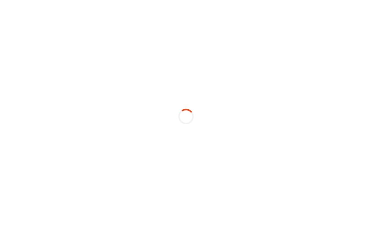 Venecapital website preview