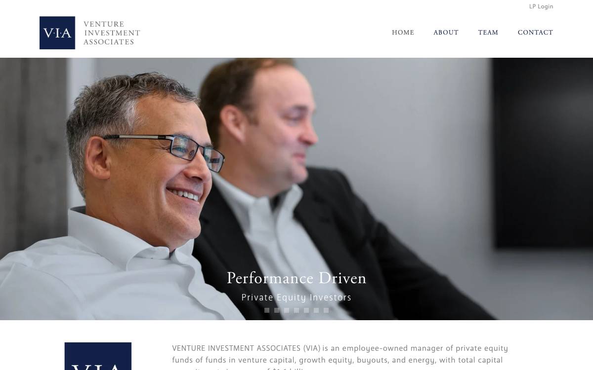 Venture Investment Associates website preview