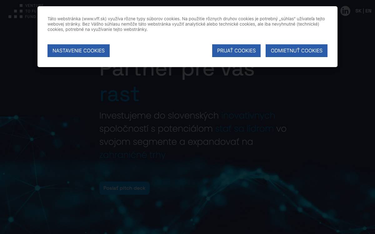 Venture to Future Fund website preview
