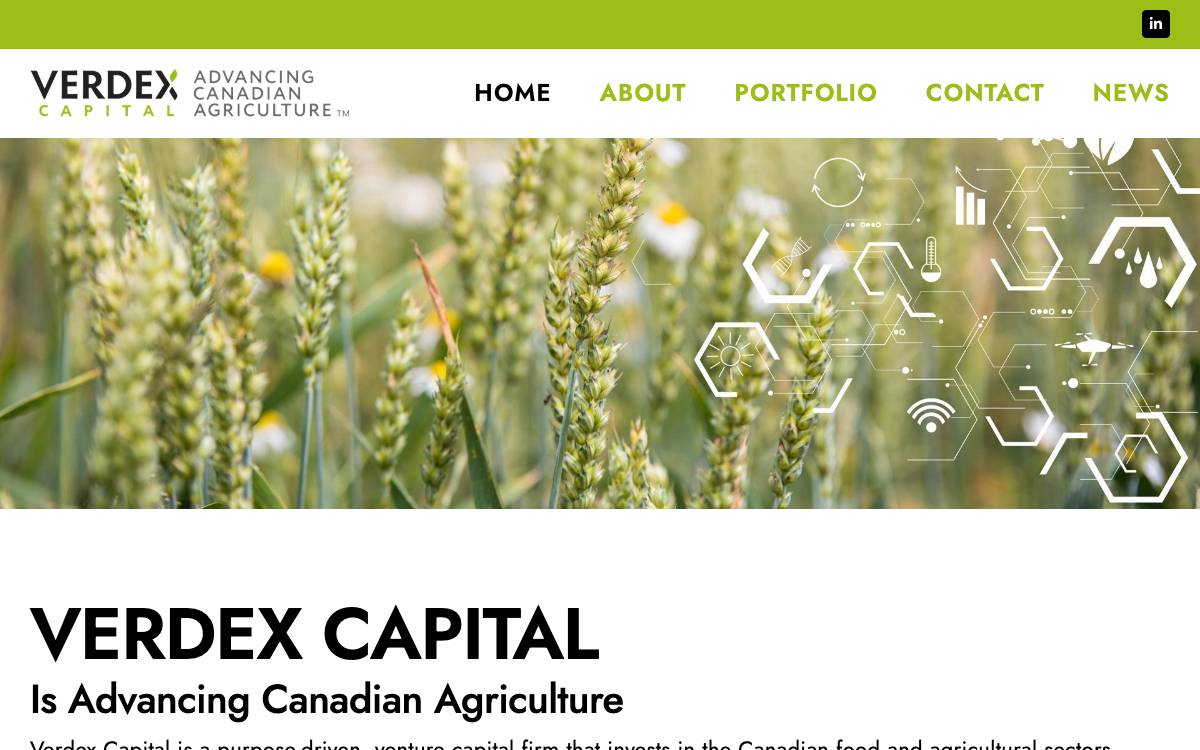 Verdex Capital website preview