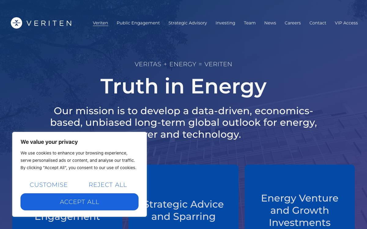 Veriten website preview