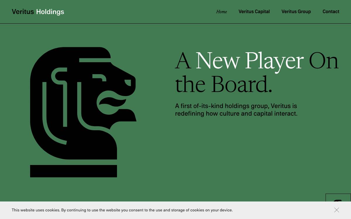 Veritus Holdings website preview