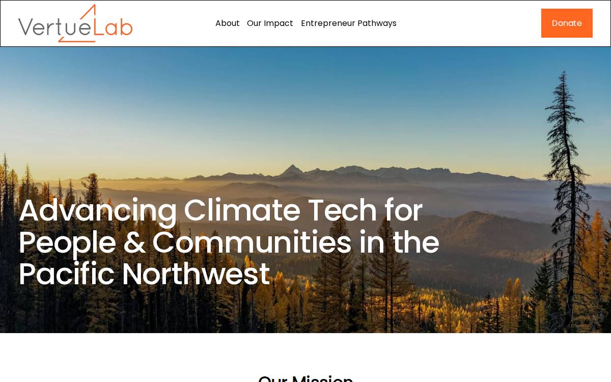 VertueLab website preview