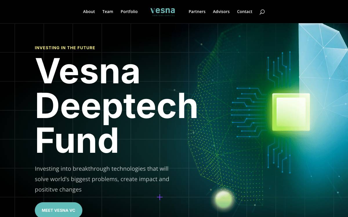 Vesna Advisors website preview