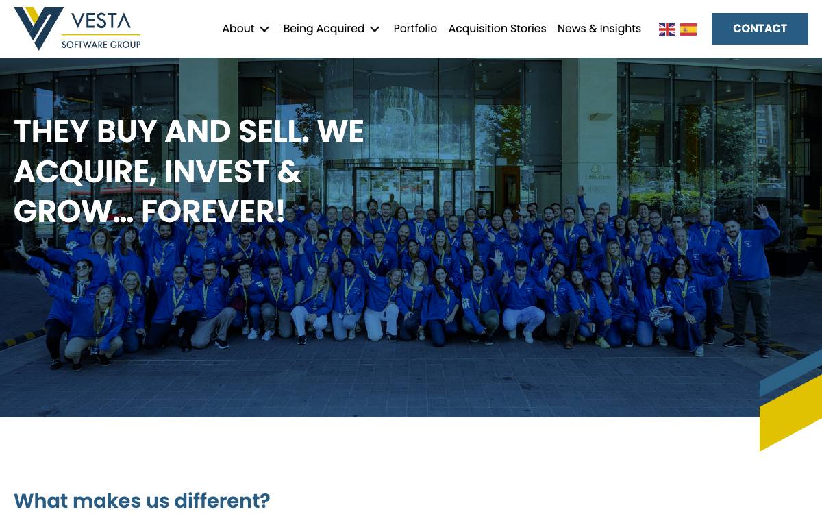 Vesta Software Group website preview