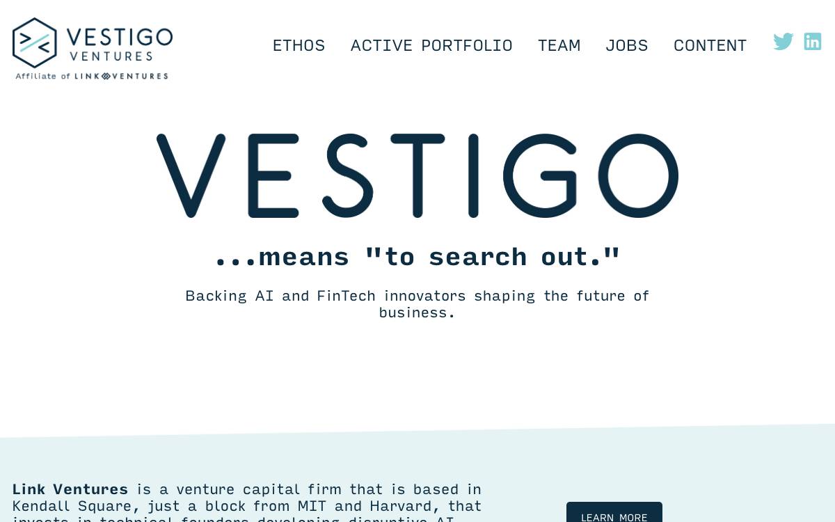 Vestigo Ventures website preview