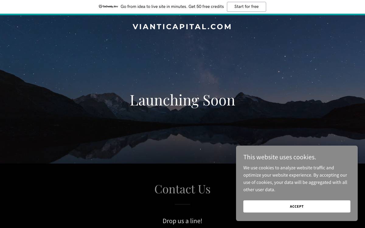Vianti Capital website preview