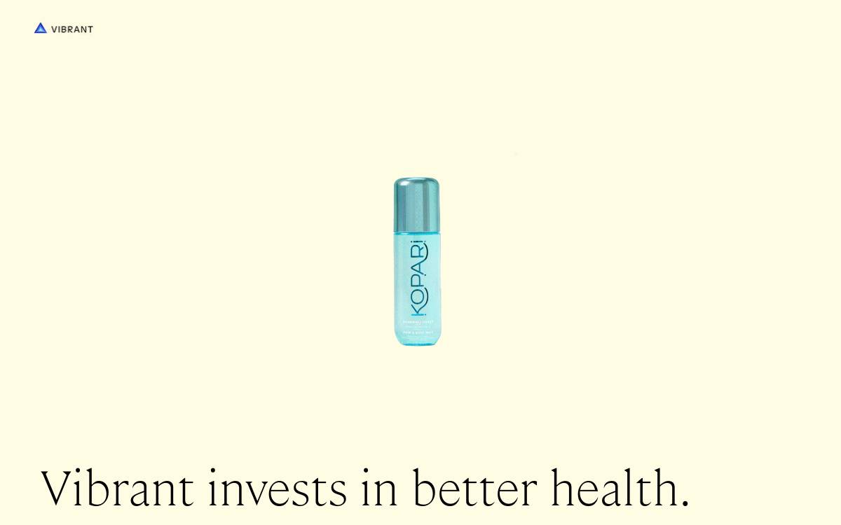 Vibrant Ventures website preview