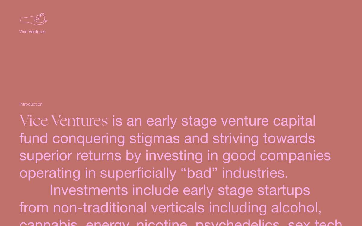 Vice Ventures website preview