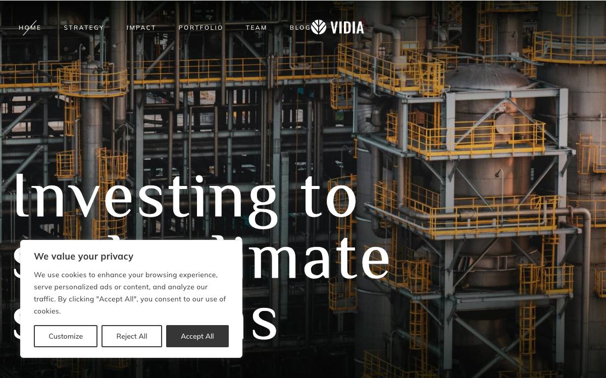 Vidia website preview
