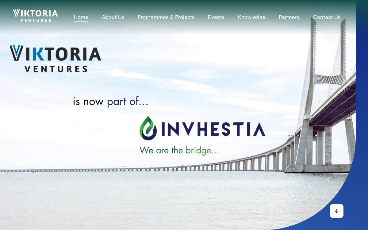 ViKtoria Ventures website preview