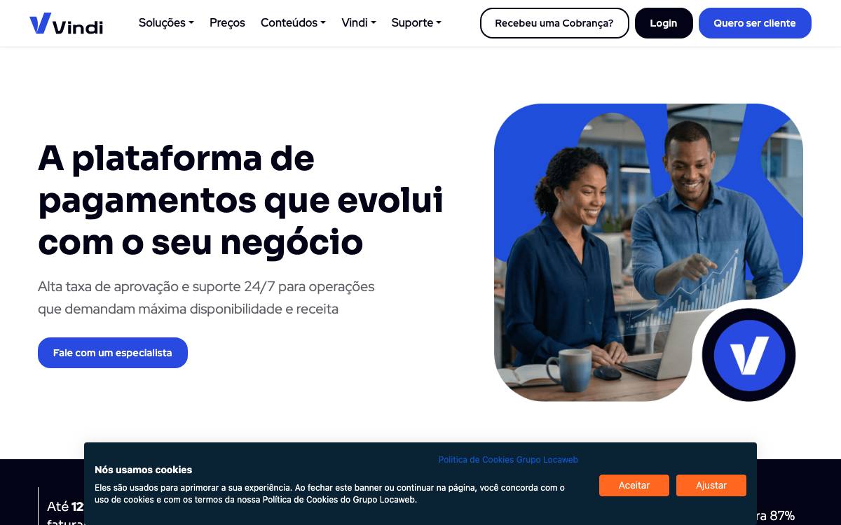 Vindi website preview
