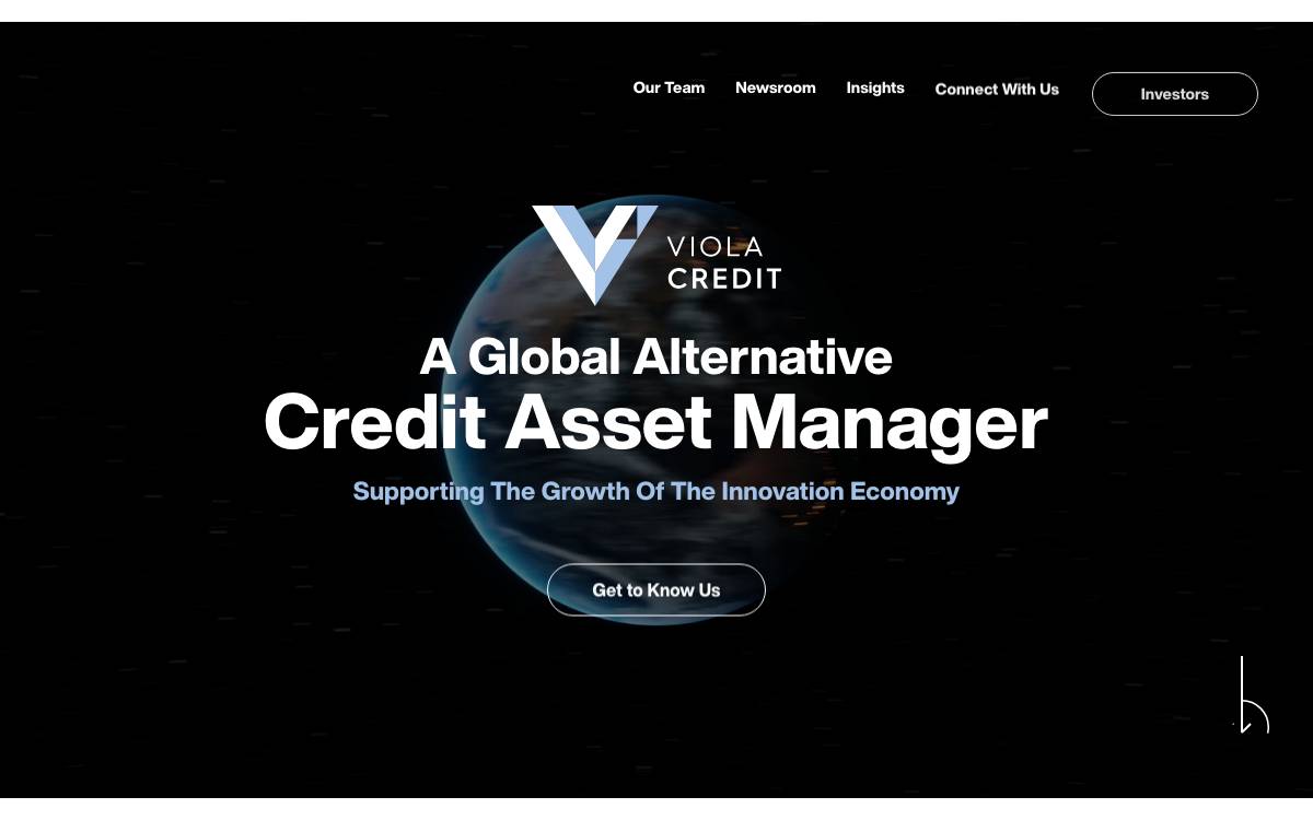 Viola Credit website preview