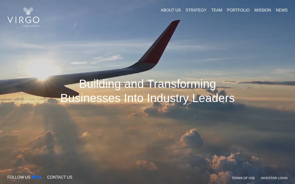 Virgo Investment Group website preview