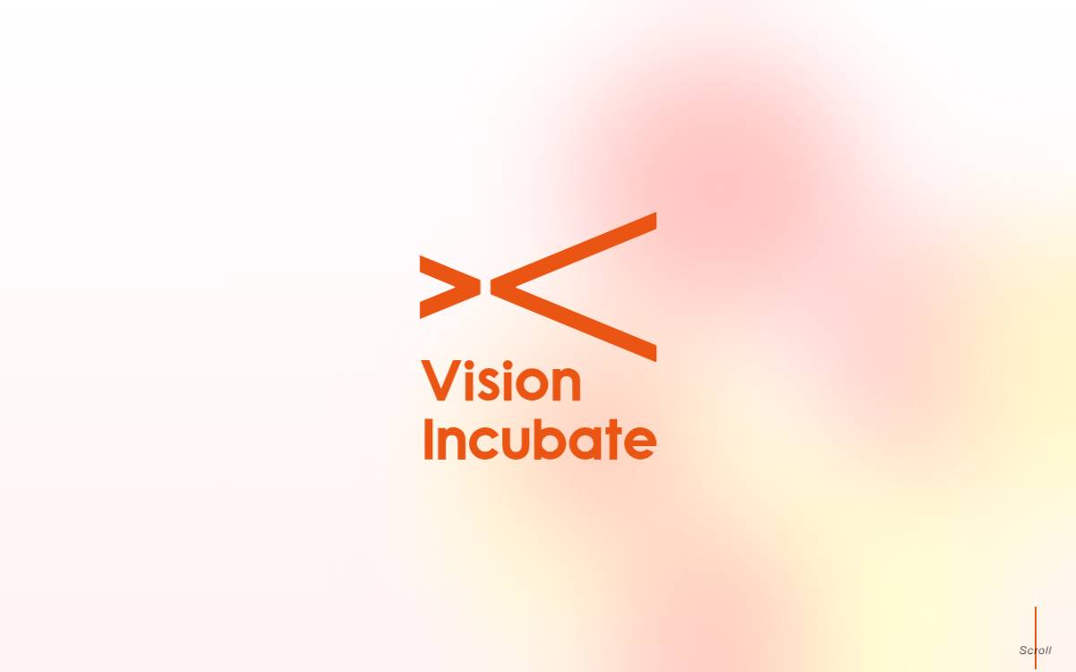 Vision Incubate website preview
