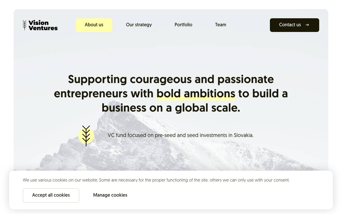 Vision Ventures website preview