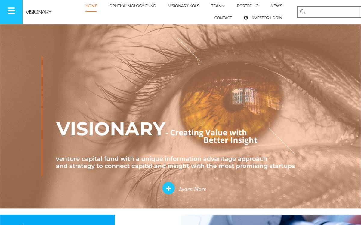 Visionary Ventures website preview