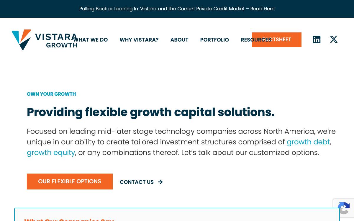 Vistara Growth website preview