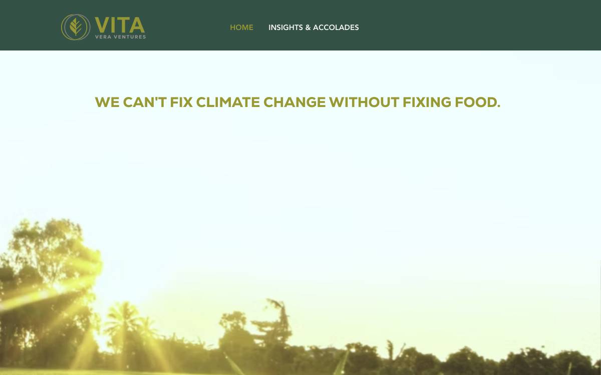 Vita Vera Ventures website preview