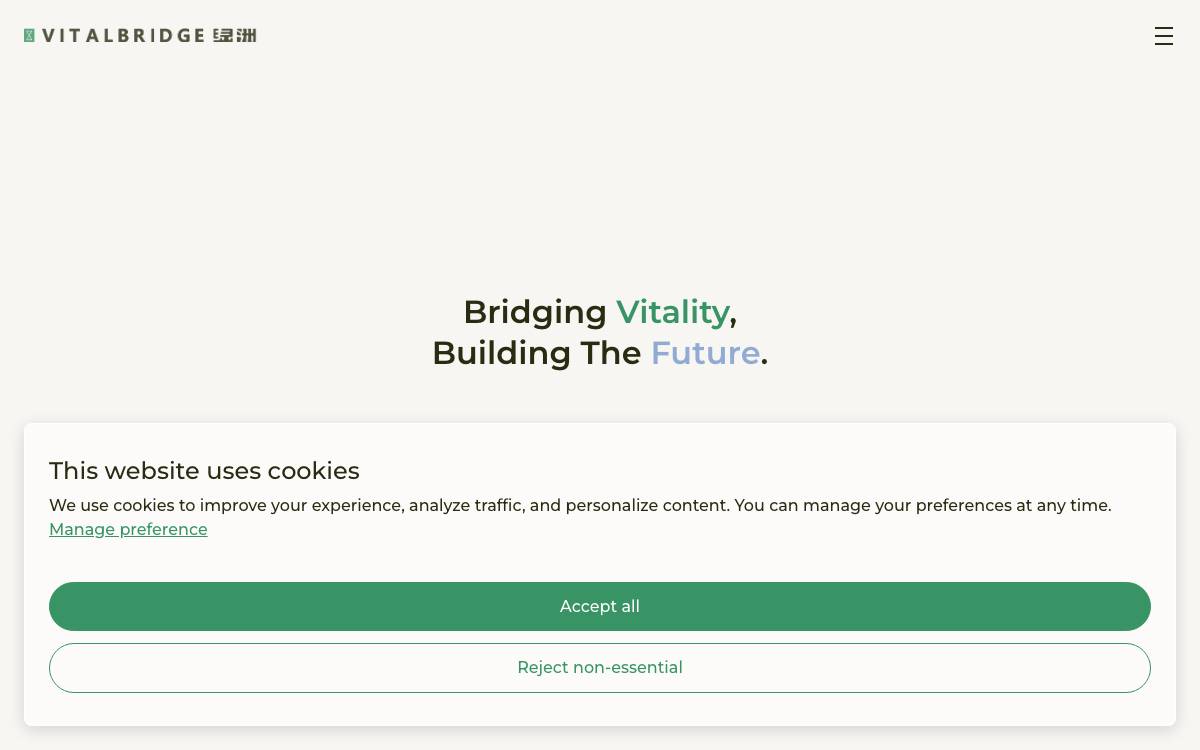 Vitalbridge Capital website preview